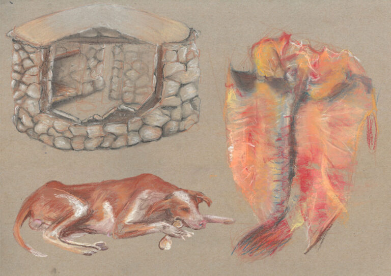 Ilustración a pastel y lápiz sobre la jarea de pescado, casa principal en vista interior y podenco canario