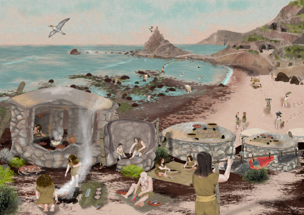 Ilustración científica del pobrado costero aborigen